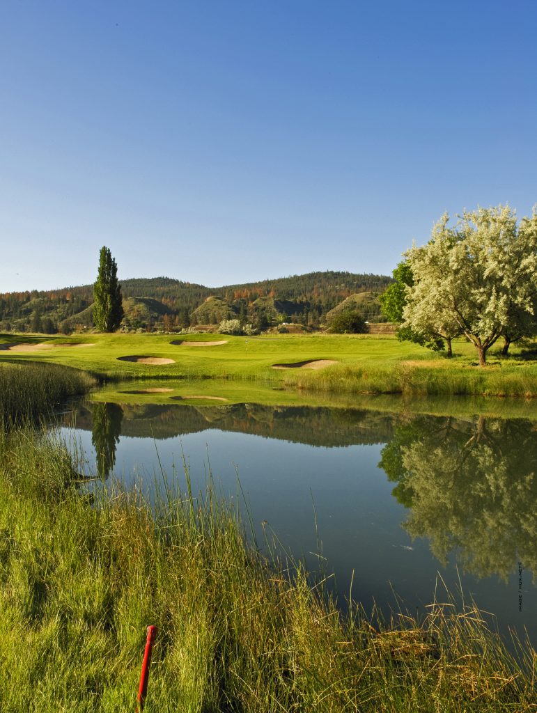 Golf in Kamloops at Rivershore Golf Links 16th green